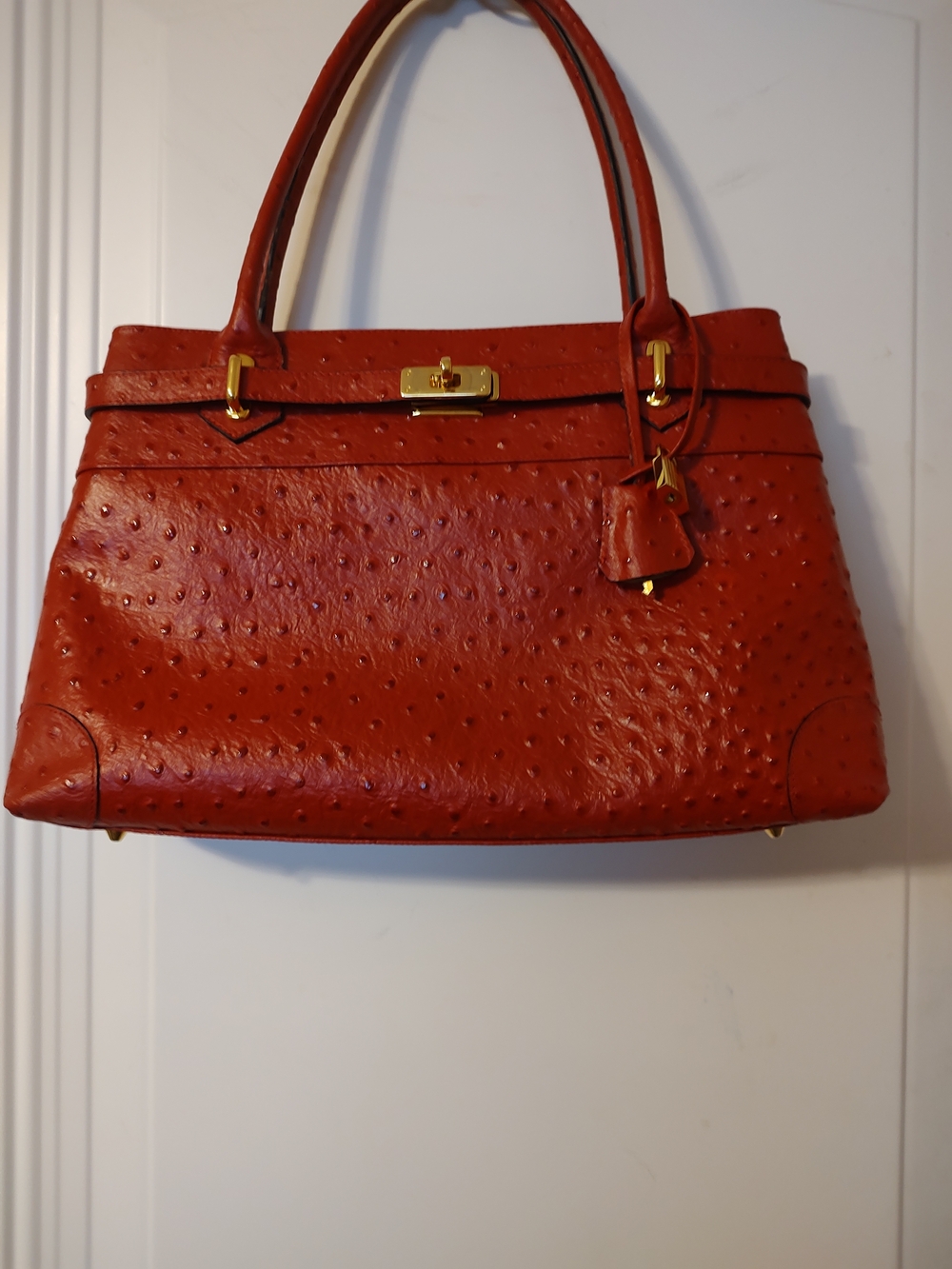 Ashneil Structured Red Ostrich-Texture Satchel Handbag with Gold Hardware